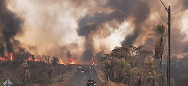 Contratan más guardaparques para “combatir” plantaciones de droga - Nacionales - ABC Color