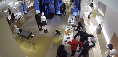 Robo relámpago en Chicago: 14 ladrones saquearon una tienda de Louis Vuitton