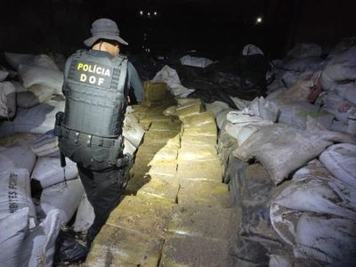 Incautan en Ponta Porã unos 1.700 kilos de marihuana ocultos en bolsas de ración - Nacionales - ABC Color