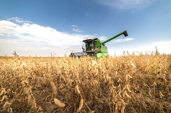 Uso de biotecnología disminuye emisión de carbono