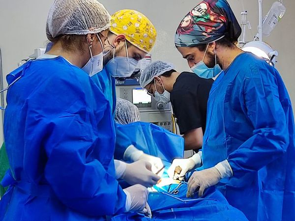 Pediatras califican como exitoso las primeras jornadas de cirugías que se realizaron en el interior del país - Nacionales - ABC Color