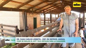 ABC RURAL: Inseminación Artificial a Tiempo fijo (IATF) y sus ventajas en ganadería - ABC Rural - ABC Color