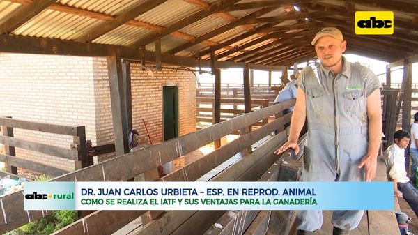 ABC RURAL: Inseminación Artificial a Tiempo fijo (IATF) y sus ventajas en ganadería - ABC Rural - ABC Color