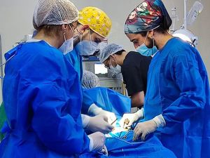 Médicos califican como exitosas las primeras jornadas de cirugías pediátricas realizadas en el interior  - Nacionales - ABC Color