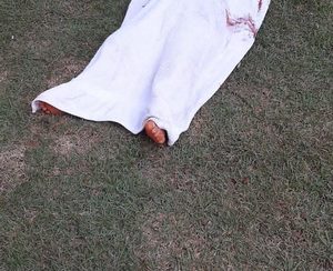 Niño de 3 años muere de manera trágica – Diario TNPRESS