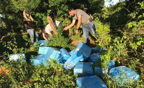 Diario HOY | Confiscan mas de 600 kilos de droga en zona rural de Itapúa