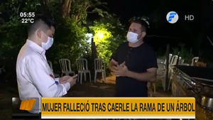 Mujer muere tras caerle encima parte de un árbol