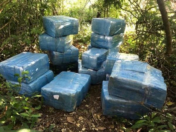 Senad incauta casi 700 kilos de marihuana en Itapúa Poty