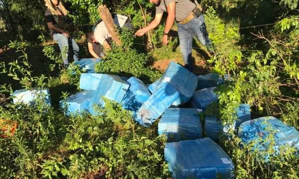 Itapúa: Confiscan mas de 600 kilos de droga - OviedoPress