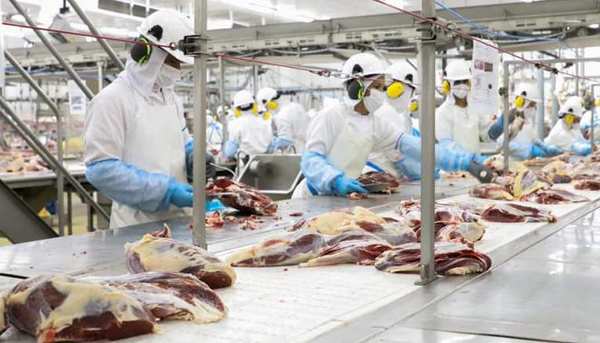 Industria frigorífica de Concepción se destaca por las buenas prácticas de ganadería sostenible