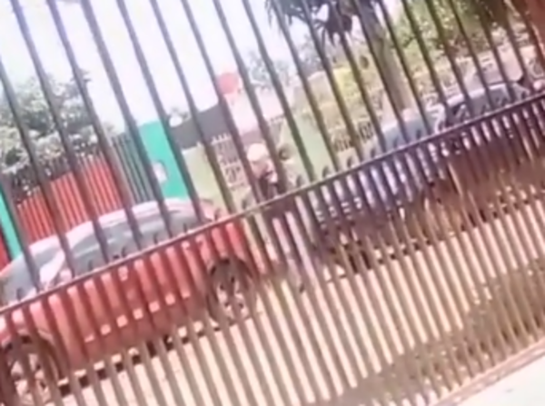 (Video). No pagó su cuenta y la escrachan con megáfono: “Marly sinvergüenza, ndo pagaséi la icuenta”