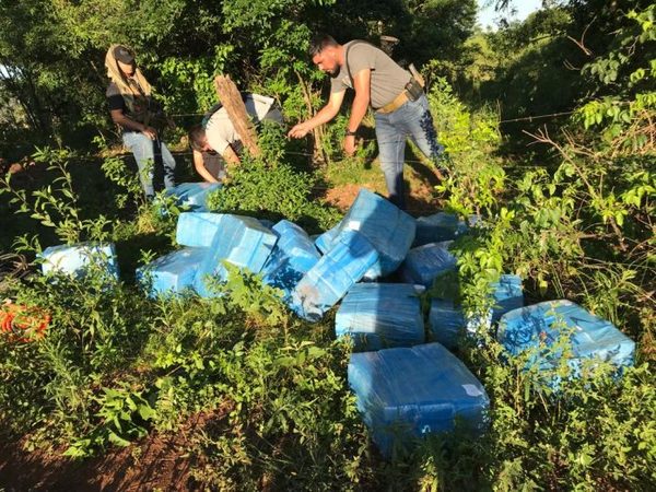 Itapúa: Agentes de la Senad incautan casi 700 kilos de marihuana en colonia Arroyito, un hombre quedó detenido