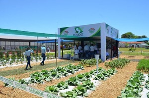 Feria Hortipar arranca la próxima semana en Yguazú - La Clave