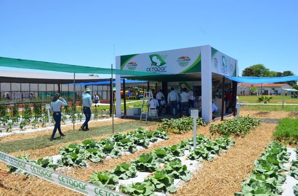 Feria Hortipar arranca la próxima semana en Yguazú - La Clave