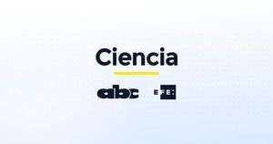 Desarrollan hidrocarburos a partir de los azúcares de la bacteria E.coli - Ciencia - ABC Color