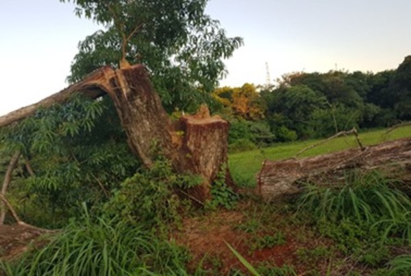 Itaipu Binacional apaña privatización de parque público