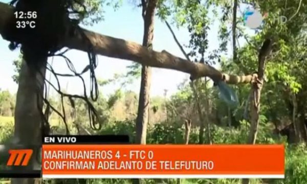 FTC no mató a miembros del grupo criminal ACA- EP, según fiscal | Telefuturo