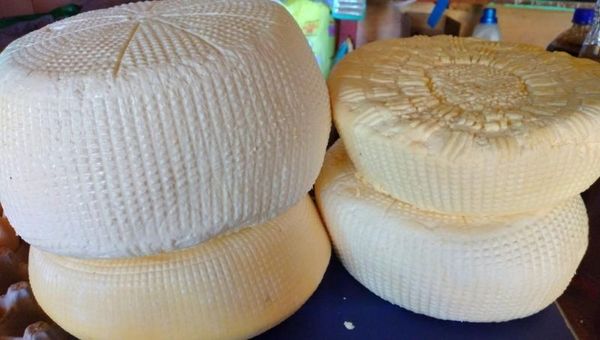 Fluido contrabando de queso desde Argentina socava a la producción nacional, afirman - ADN Digital