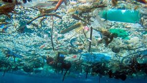Expertos piden reducir hasta un 90% los desechos marinos antes de 2030