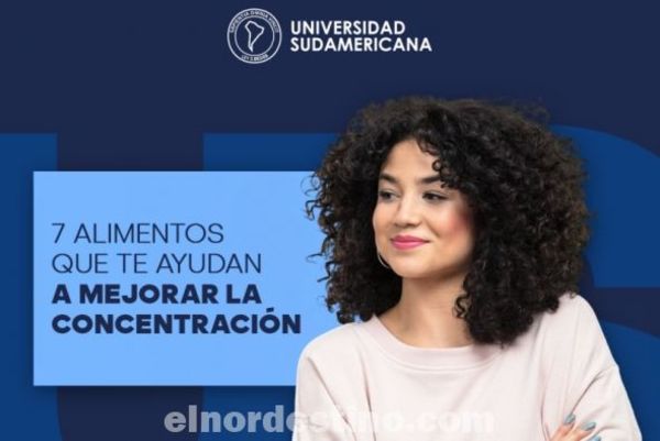 Alimentos recomendados para mantener en forma el cerebro y no perder la concentración, sugeridos por Universidad Sudamericana