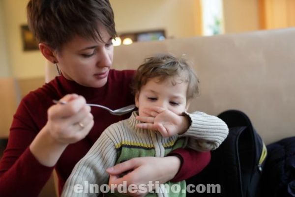 Mi hijo no quiere comer: es una preocupación de los padres, que hacer para motivarlos a consumir alimentos saludables