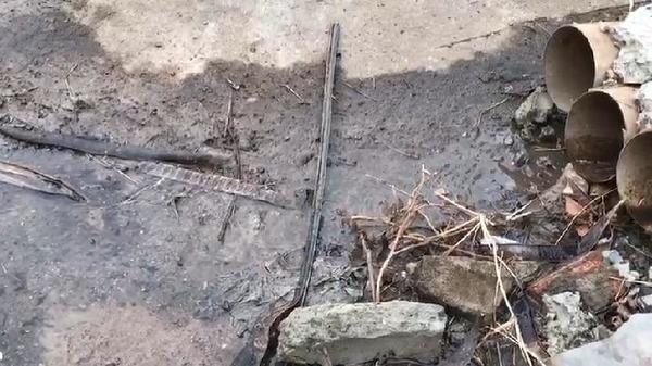 Queja ciudadana: mucha burocracia para resolver un caso de agua servida - San Lorenzo Hoy
