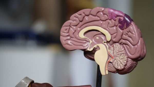 Científicos israelíes descubren un nuevo método para diagnosticar afecciones neurológicas - San Lorenzo Hoy
