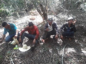 Detienen a cuatro personas por talar árboles nativos de una reserva forestal en Horqueta