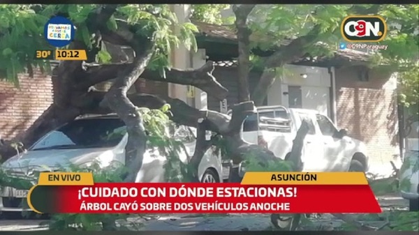 Árbol cayó sobre dos vehículos en Sajonia - C9N