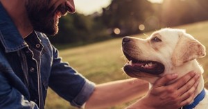 Esta es la razón por la que deberías dar “like” en Tinder a las personas con perros - C9N