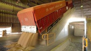 Exportaciones de soja generaron US$ 766,4 millones más al cierre de octubre