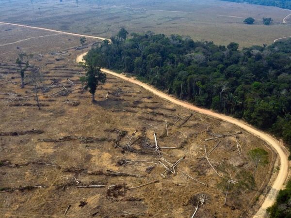 UE quiere prohibir importaciones vinculadas a la deforestación, incluida la carne