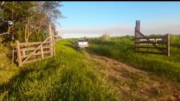 Matan a ganadero alemán y a dos peones secuestrados en  San Pedro