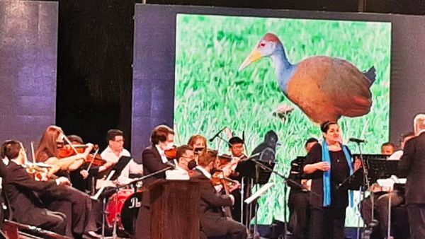 Música de las aves en el 85 aniversario de Radio Cáritas