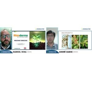 Rizoderma Max, el control biológico para la protección más prolongada