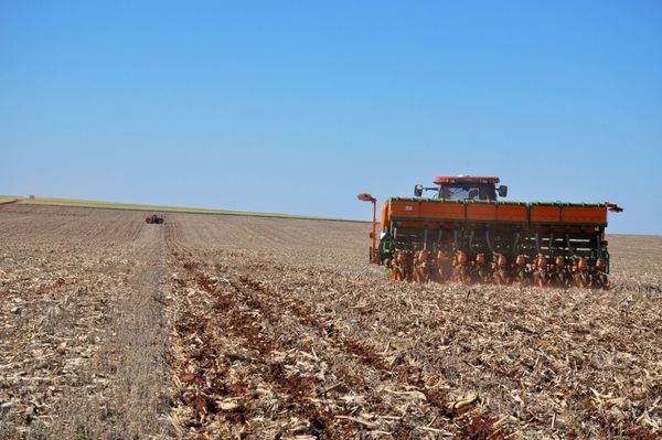 Dos décadas con tendencia a avances y a nuevos desafíos