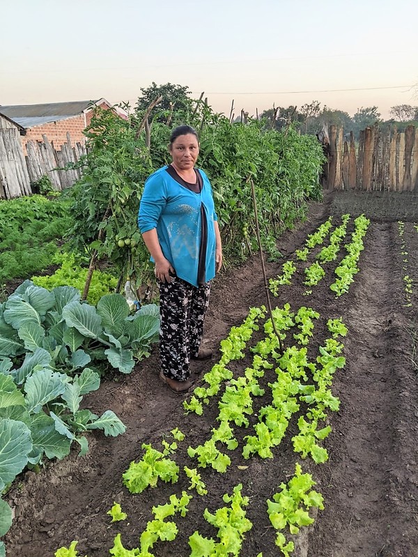 Corea potenciará la producción frutihortícola familiar en Paraguay en el marco del desarrollo rural sostenible – La Mira Digital