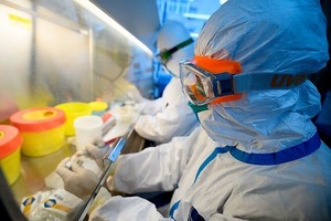 El coronavirus se expande incontenible e instala un escenario funesto en las naciones – La Mira Digital