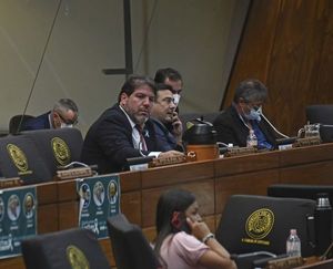 Cámara Baja sancionará préstamo de US$ 250 millones para la ANDE - Nacionales - ABC Color