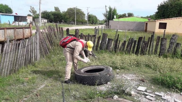 Diario HOY | Notificaciones de dengue superan las 200 por semana