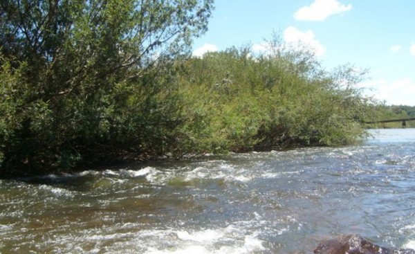 Encuentran muerta a una niña de 10 años a orillas de un arroyo
