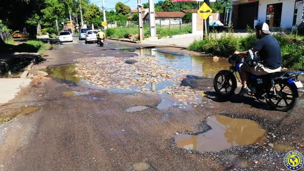 Baches "gozan de buena salud" en Luque •