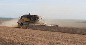 La Nación / FAO insta a los países a preparar sus sistemas alimentarios para nuevos “choques”