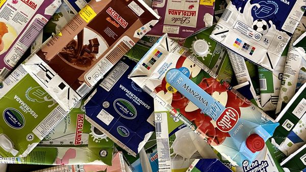 Tetra Pak emprende una campaña de reciclaje de envases en favor del planeta