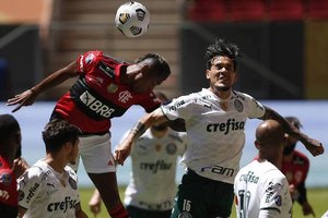 Palmeiras y Flamengo, de la crisis al regocijo