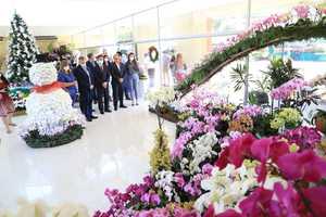 Productores de orquídeas lograron recaudar G. 500 millones a octubre de este año - .::Agencia IP::.