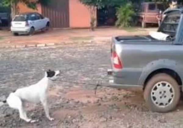 Medidas alternativas a la prisión por muerte de Tyson