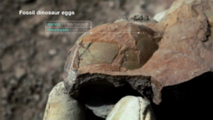 ¿Jurassic Park?: Encuentran huevos de dinosaurios con embriones intactos