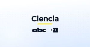 Cincuenta personas desarrollarán proyectos de innovación ciudadana en México - Ciencia - ABC Color