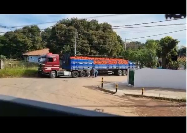 UIP y Capasu urgen frenar contrabando de “peces gordos” - Nacionales - ABC Color